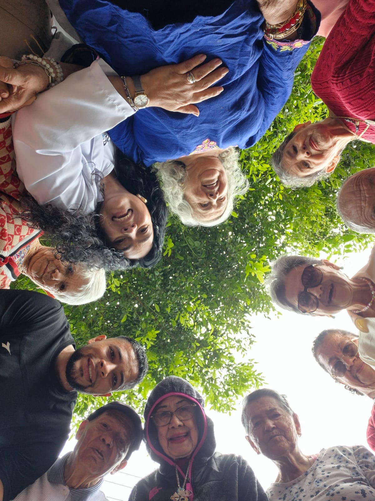 Imagen de Tarde de caminata al aire libre.